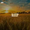 Sleepy Piano Keys - Sleep